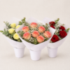 Bouquets de roses Bouquet de roses douces (couleur au choix)